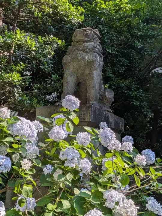 赤坂氷川神社(東京都)