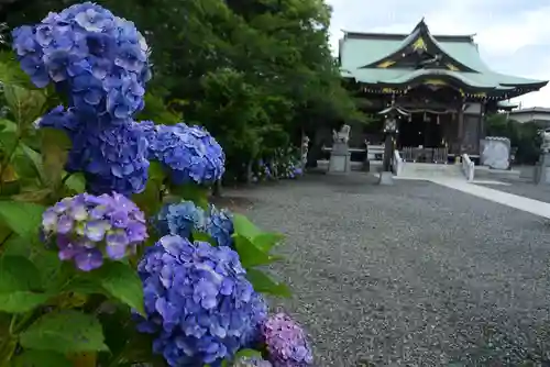 龍口明神社(神奈川県)