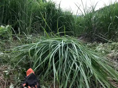 高司神社〜むすびの神の鎮まる社〜(福島県)