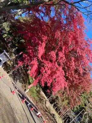 賀茂神社(宮城県)
