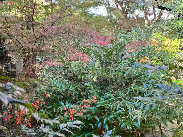 国宝 長寿寺(滋賀県)