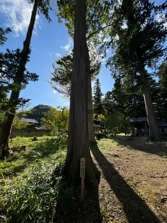 諏訪神社(長野県)