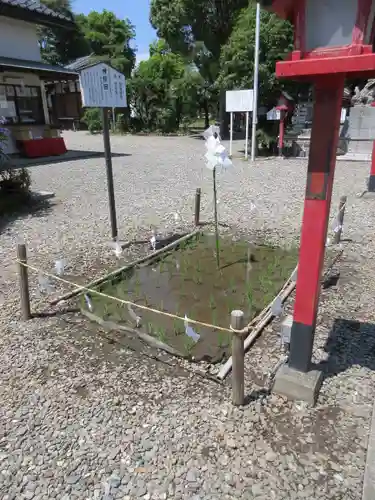 倉賀野神社の庭園