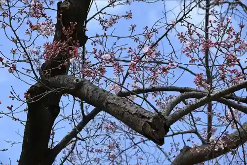 花園稲荷神社の自然