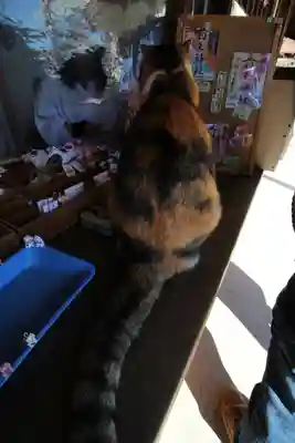 前玉神社(埼玉県)