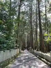 東大野八幡神社(福岡県)