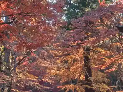 日吉大社(滋賀県)