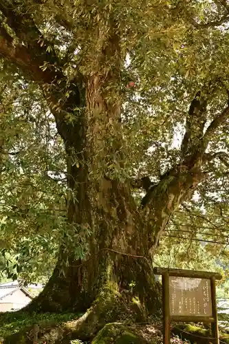 廣瀬神社(愛媛県)