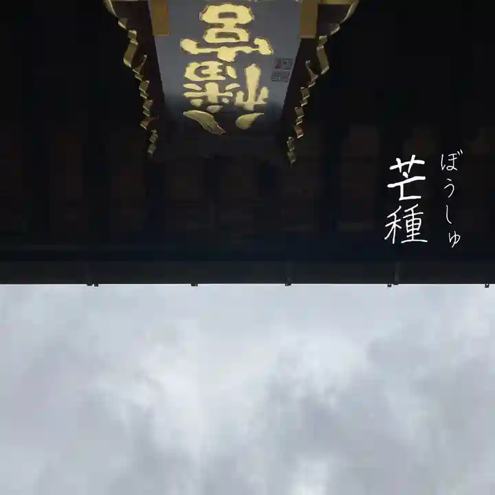 總社 和田八幡宮(福井県)