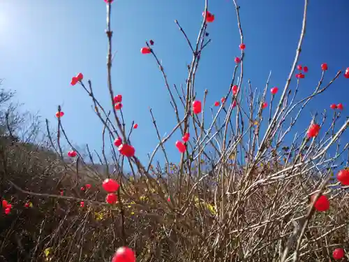 祠（大雪神社奥の院）(北海道)