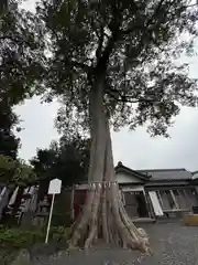 神館飯野高市本多神社(三重県)