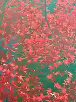 深大寺(東京都)