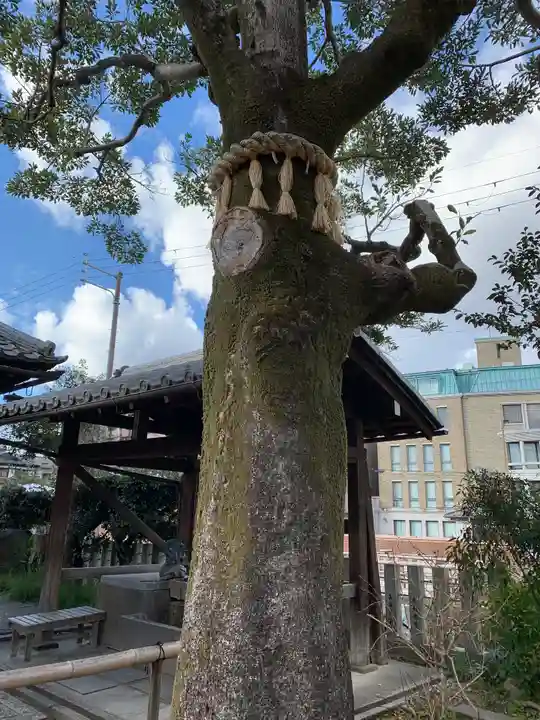 出町妙音堂(京都府)