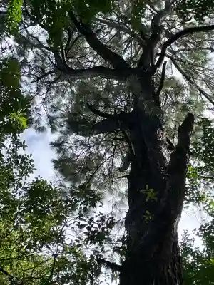 鞆江神社(明地)(愛知県)