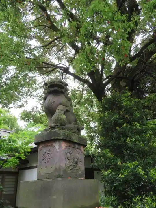阿佐ヶ谷神明宮の狛犬
