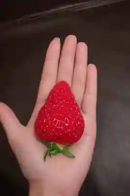 大御和神社の{uncategorized: "未分類", other: "その他", undefined: "問題あり", building: "その他建物", grave: "お墓", sacred_gate: "鳥居", guardian: "狛犬", statue: "像", buddha: "仏像", history: "歴史", nature: "自然", garden: "庭園", animal: "動物", pagoda: "塔", temizu: "手水舎", mountain_gate: "山門・神門", sanctuary: "本殿・本堂", subordinate: "末社・摂社", art: "芸術", scenery: "景色", jizo: "地蔵", ema: "絵馬", goshuin: "御朱印", omikuji: "おみくじ", items: "授与品その他", amulet: "お守り", goshuincho: "御朱印帳", eats: "食事", festival: "お祭り", votive_dance: "神楽", shichigosan: "七五三参", wedding: "結婚式", experience: "体験その他", initially: "初詣", around: "周辺", anti_infection: "感染症対策"}