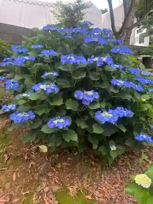 三ヶ根観音(太山寺)(愛知県)