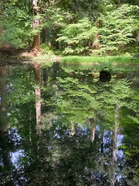 平泉寺白山神社(福井県)