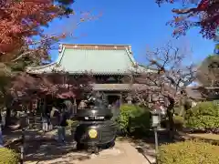 豪徳寺(東京都)