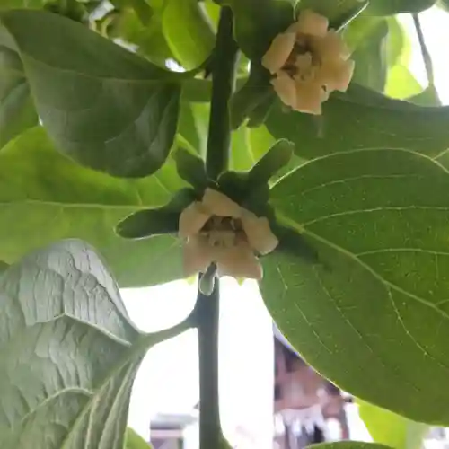 七重浜海津見神社のその他建物