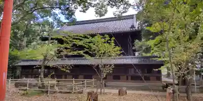 向日神社(京都府)