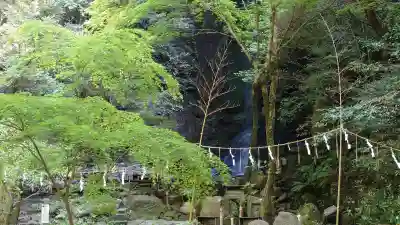 石上神社(奈良県)