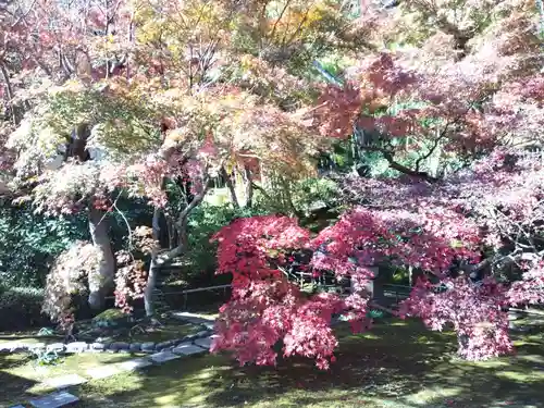 長壽寺（長寿寺）の庭園