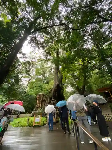 來宮神社(静岡県)