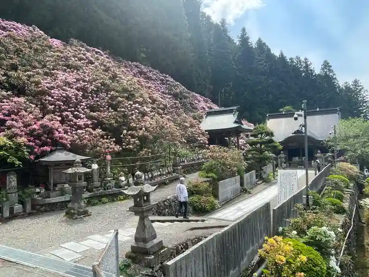 横峰寺(愛媛県)