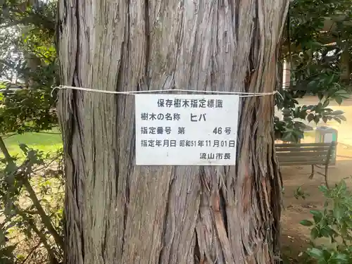 成顕寺(千葉県)