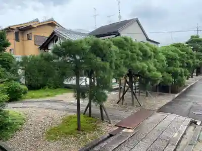 称念寺(京都府)