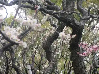 宝戒寺(神奈川県)