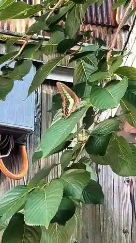 彌榮神社(大阪府)