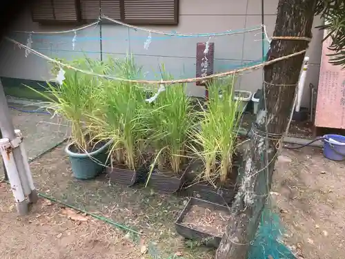 久里浜八幡神社(神奈川県)