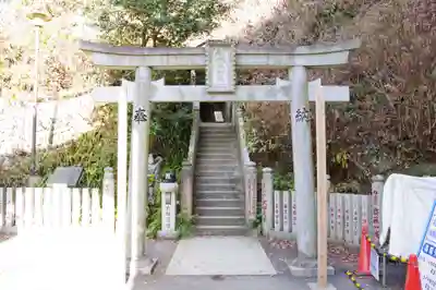 薬王院福徳弁財天洞の鳥居