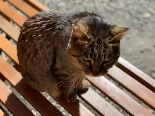 小野照崎神社の動物