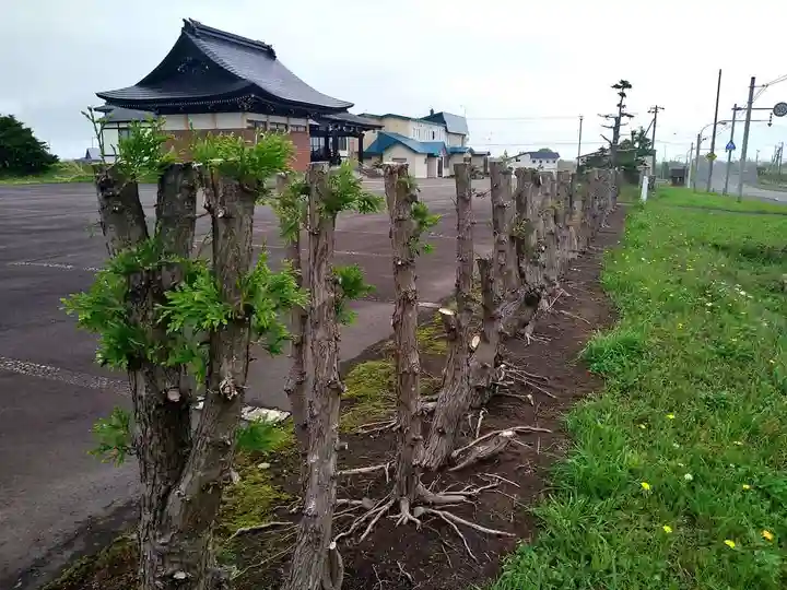 雨竜 専福寺の自然