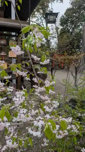 郡山八幡神社(奈良県)