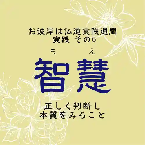 壽徳寺 じゅとくじの御朱印