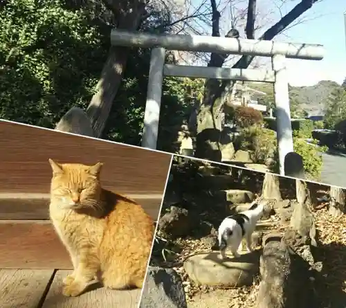 護国寺(東京都)