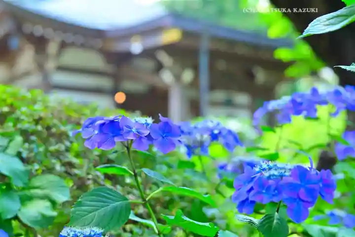 妙楽寺(神奈川県)