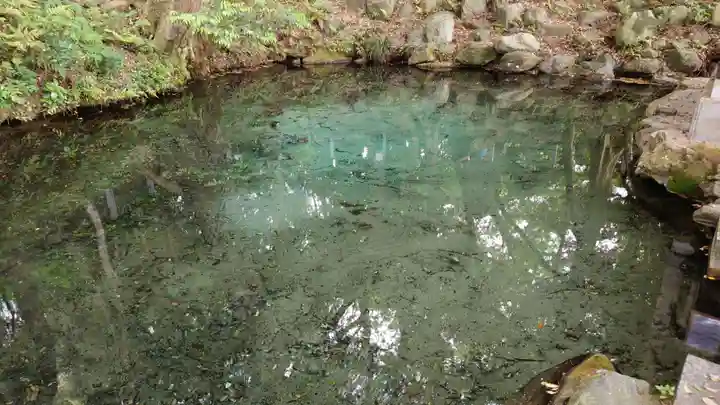 泉神社(茨城県)