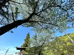 真田神社の自然