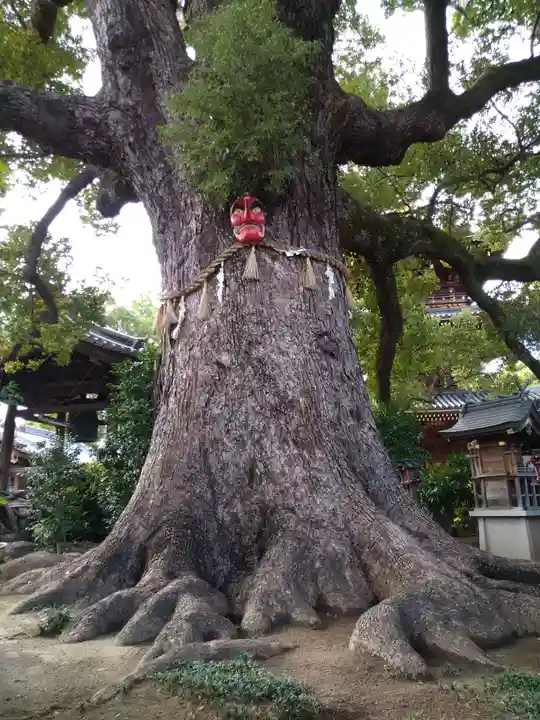 法楽寺(大阪府)