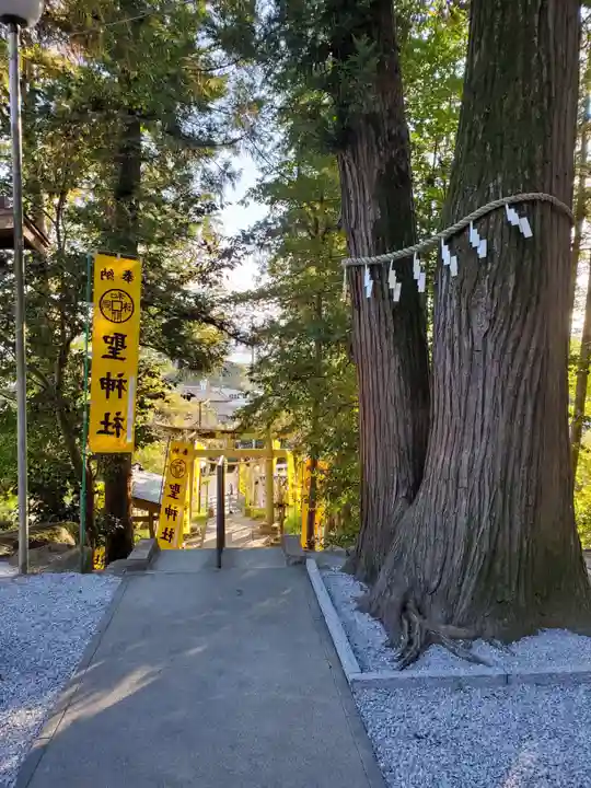 聖神社(埼玉県)
