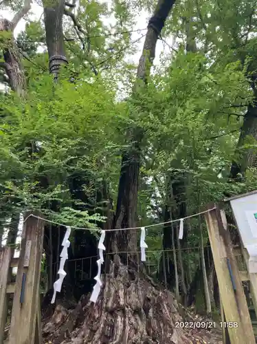 小室浅間神社(山梨県)