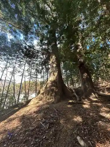 河口浅間神社(山梨県)