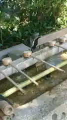 弓弦羽神社の手水