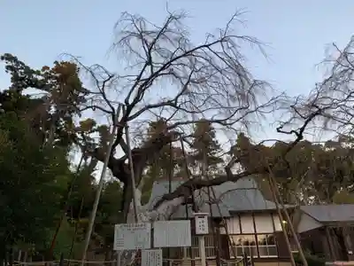 福星寺(千葉県)