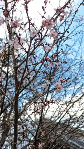 平野神社(京都府)